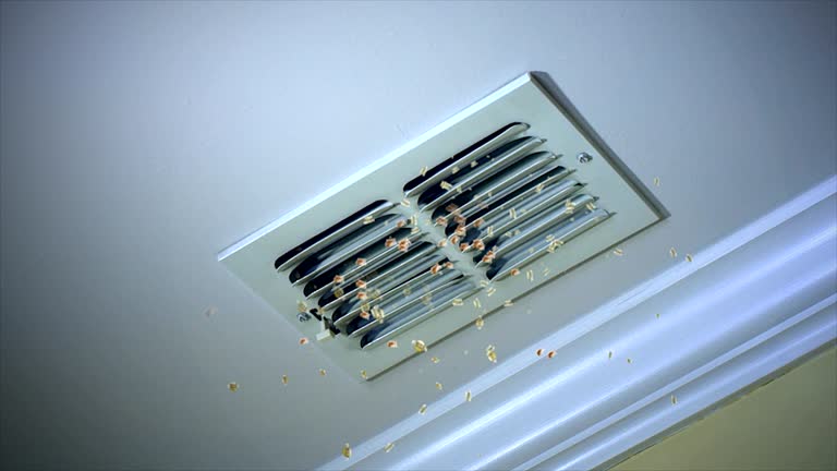 Best Affordable HVAC Duct Cleaning  in East Rockingham, NC