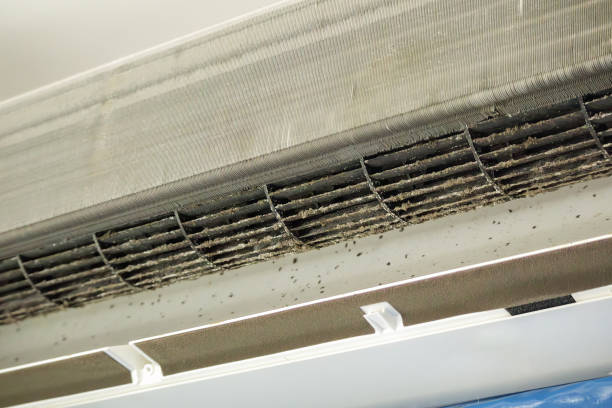 Best Ventilation Cleaning Services  in East Rockingham, NC